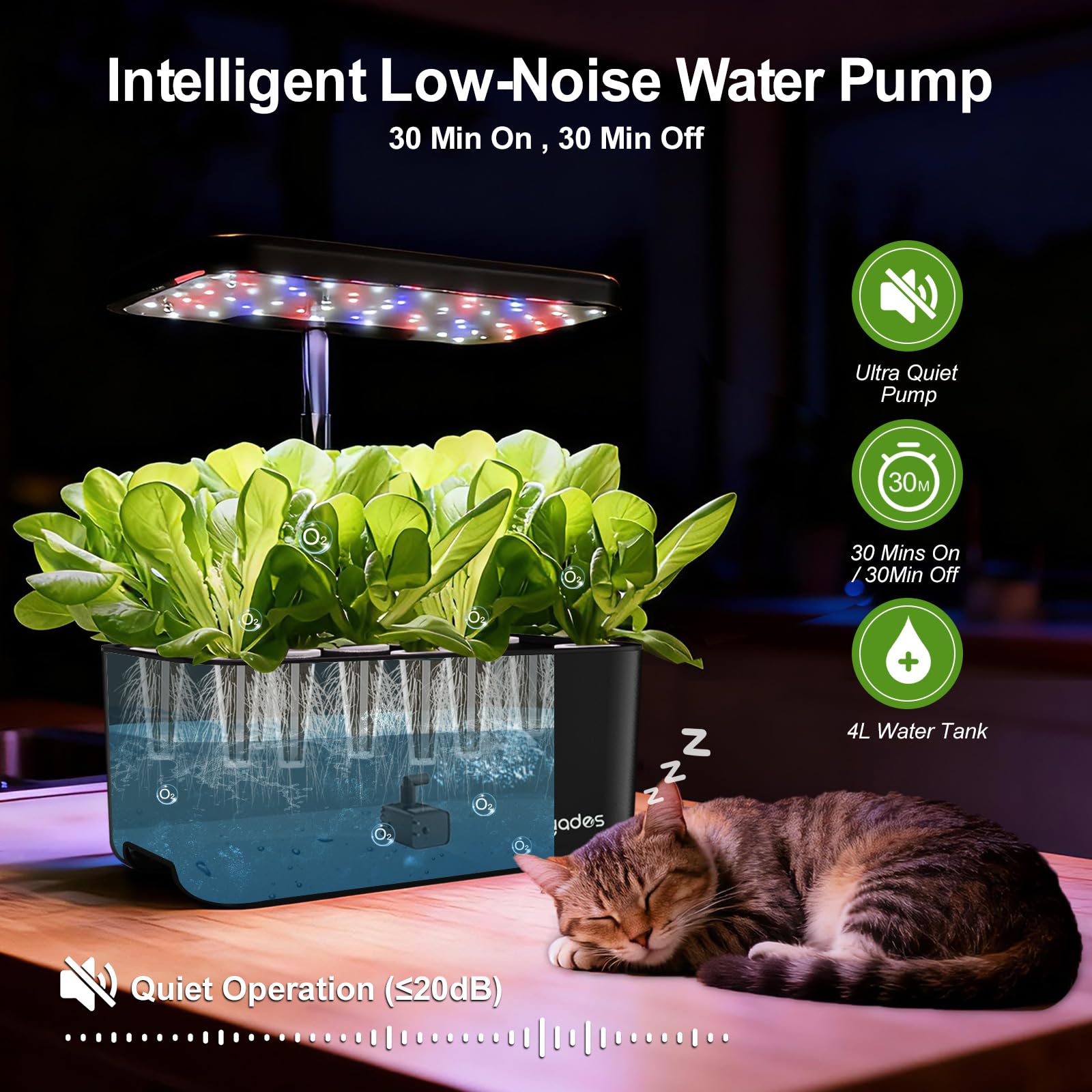 Hydroponics Growing System Indoor Garden
